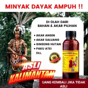Minyak Urut Dayak Kalimantan 100% Original   | Minyak Herbal Nyeri Sendi Rematik & Pegal